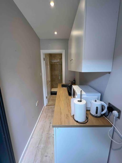 Newly Built Large Garden Ensuite Guest Studio 博勒姆伍德 外观 照片